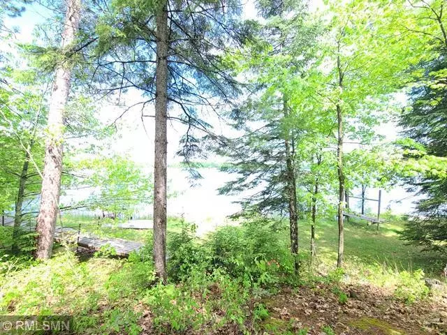 Deer River, MN 56636,42093 S Chase Lake RD