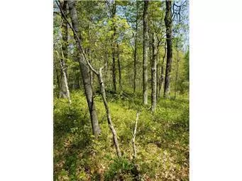 Breezy Point, MN 56472,Lot 28 Blk 1 White Overlook