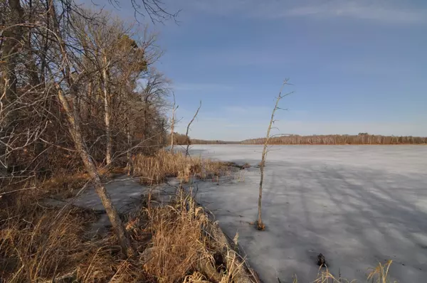 Backus, MN 56435,TBD W Goose Lake Trail