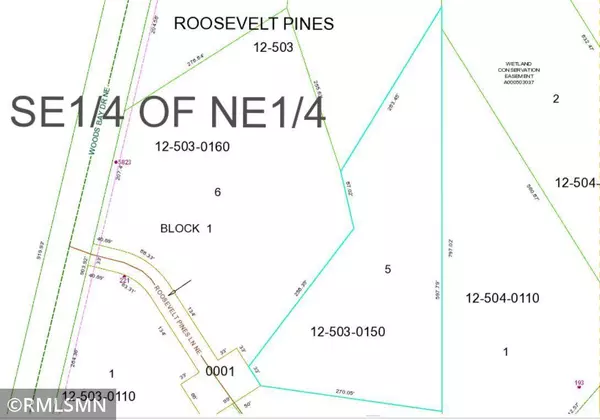 Crooked Lake Twp, MN 56662,TBD Roosevelt Pines LN