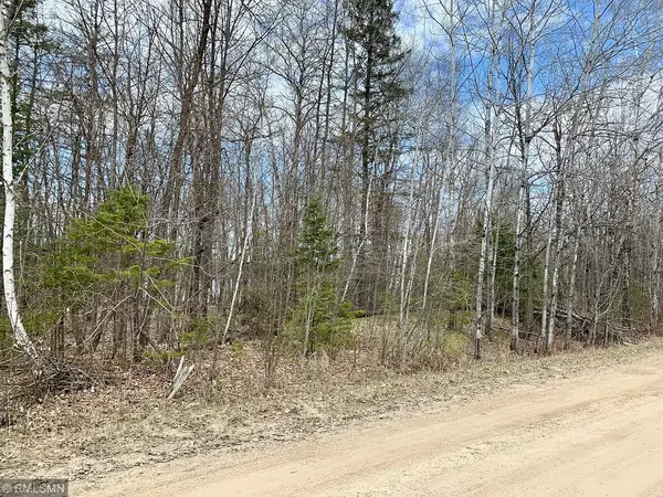 Hackensack, MN 56452,LOT 5 Woodtick TRL NW