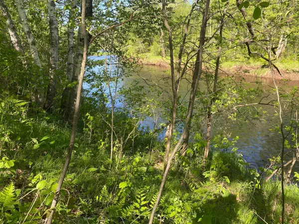 Willow River, MN 55795,80008 River Run Rd