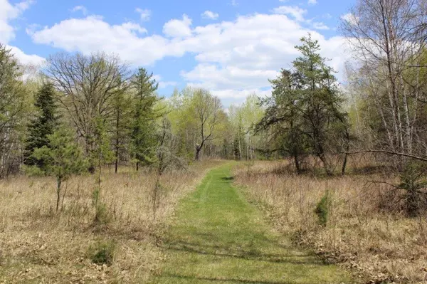 Nevis, MN 56467,TBD County 86