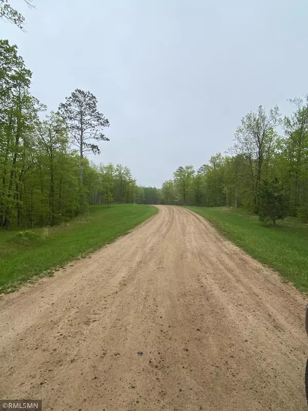 Longville, MN 56655,LOT 6 Bear Tract LN NE