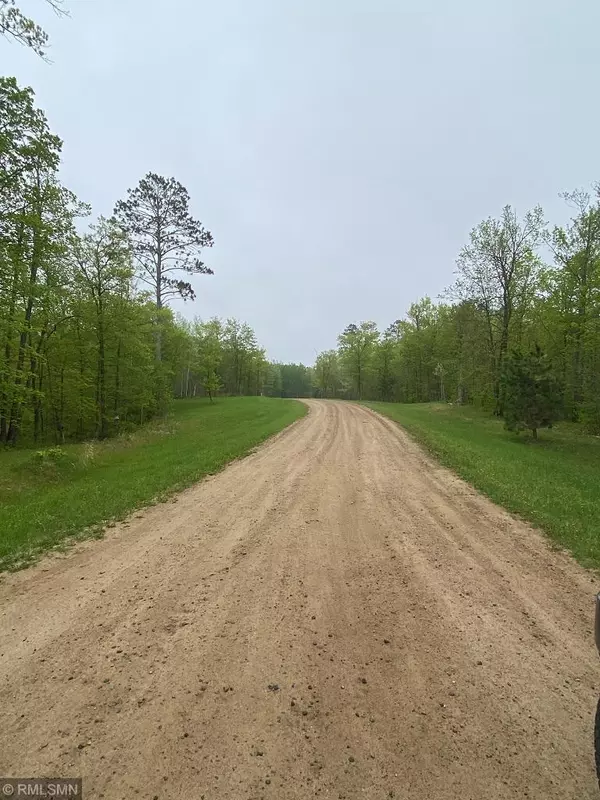 Longville, MN 56655,LOT 16 Bear Tract LN NE