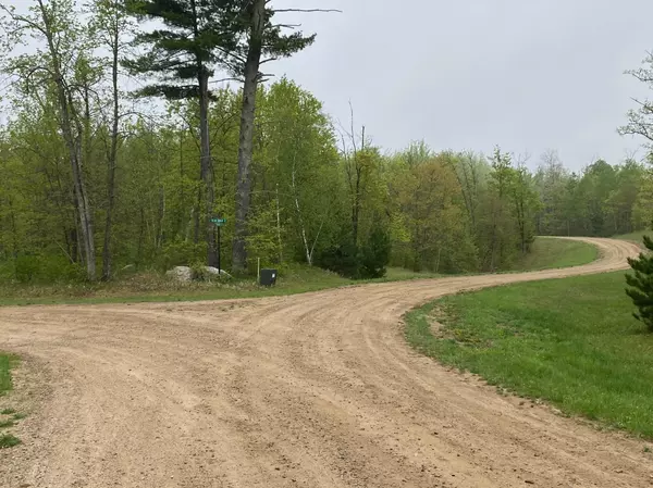 Longville, MN 56655,LOT 17 Bear Tract LN NE