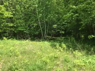 Apple River Twp, WI 54001,000 134th AVE