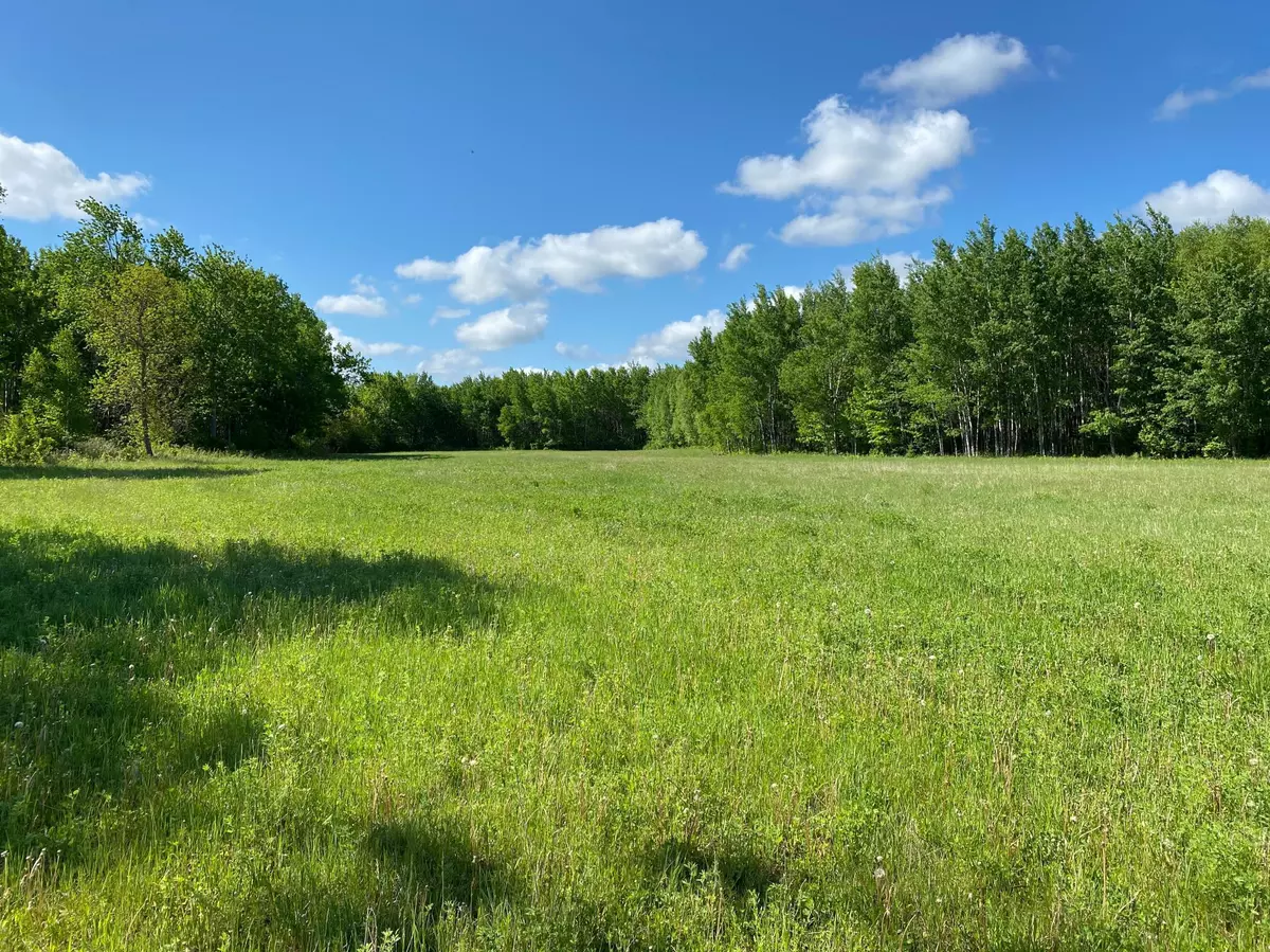 Balsam Twp, MN 55709,TBD CR 343