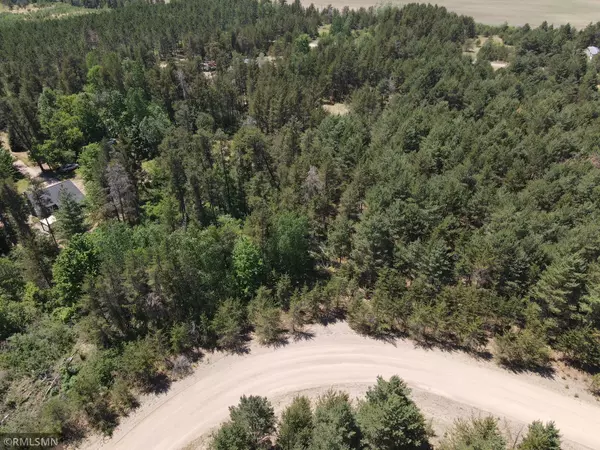 Pillager, MN 56473,Lot 7 42nd AVE