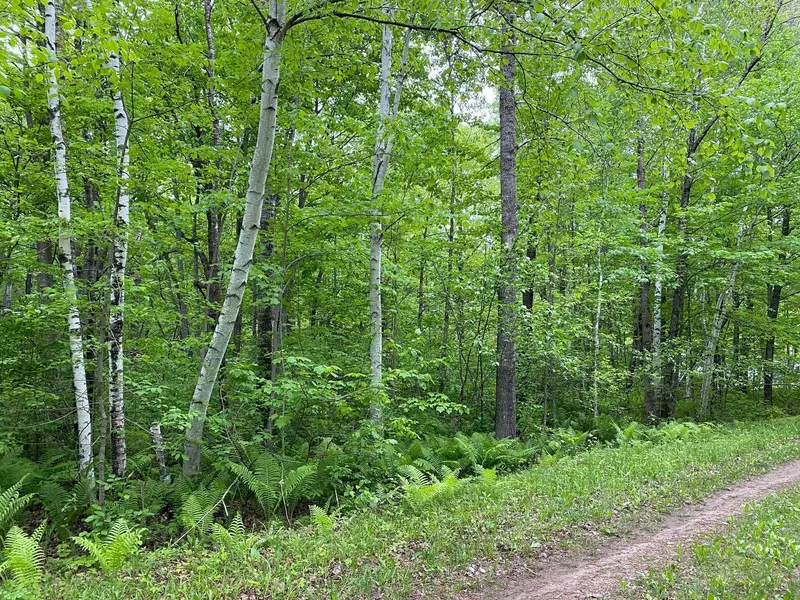 L7 B2 Birch Trail, Garrison, MN 56450