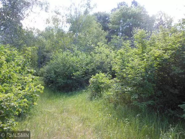 Pine River, MN 56474,PARCEL C COTTONWOOD TRL SW