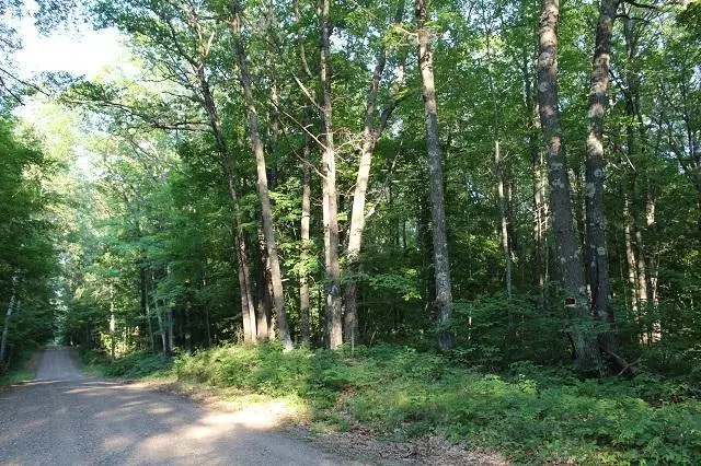 Aitkin, MN 56431,Lot 5 311th Lane