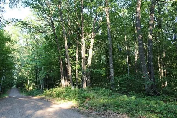 Lot 5 311th Lane, Aitkin, MN 56431