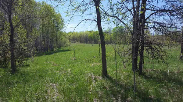 Mahnomen, MN 56557,80 Acre 310th AVE