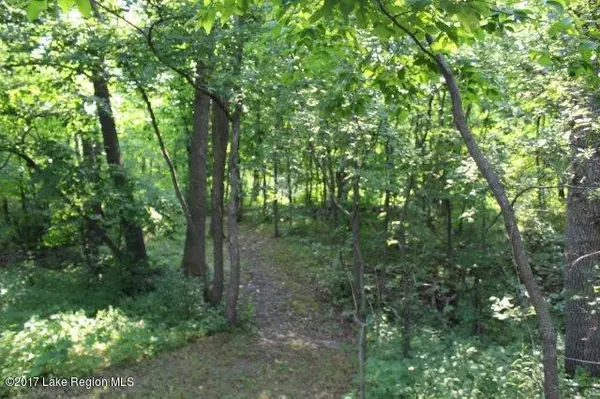 Girard Twp, MN 56588,Lot2 Blk3 220th ST