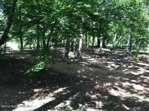 Candor Twp, MN 56587,Lot2 Blk1 Campfire RD