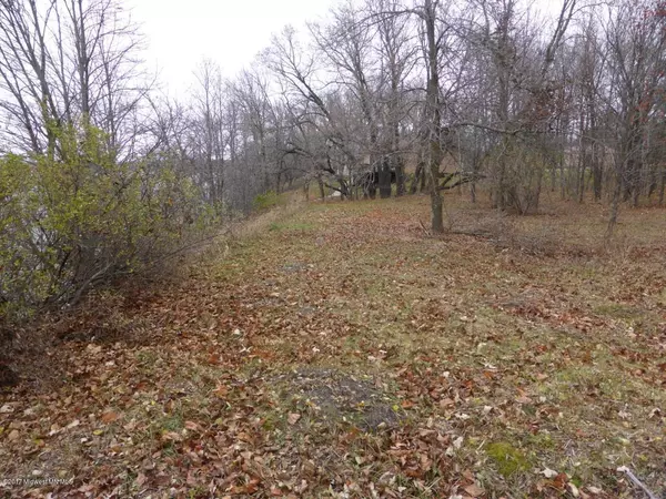 Nidaros Twp, MN 56524,Lot 2 Beaver Creek RD