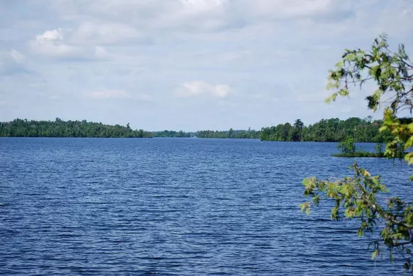 Greenwood Twp, MN 55790,95820 Pine Island
