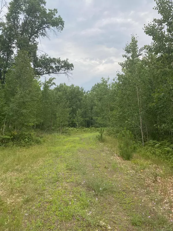 Jackson Twp, WI 54830,XXX Majestic Woods Lot 2