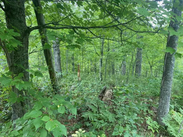 Jackson Twp, WI 54830,XXX Majestic Woods Lot 6