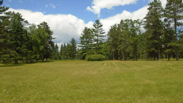 Pine River, MN 56474,Tract A Wildamere DR