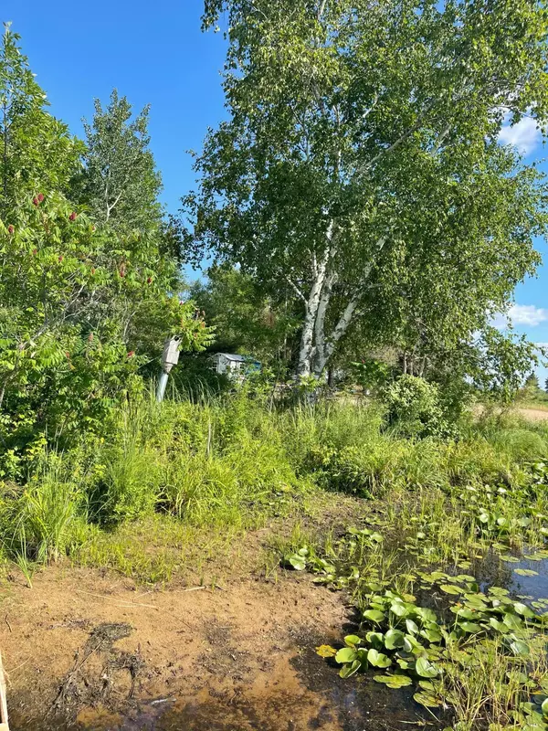 Pequot Lakes, MN 56472,Lot 114 E Cree Bay