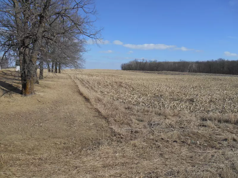 Acreage; Hwy #11 RD, Audubon, MN 56511