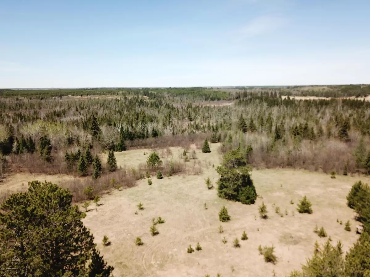 Bemidji, MN 56601,Tbd 516th Street