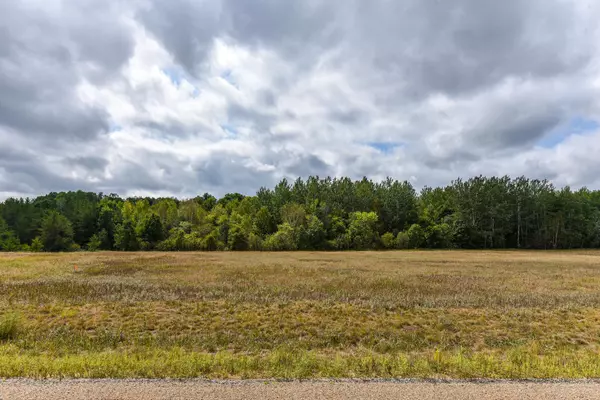 Lot A Hassman Hill RD SW, Pine River, MN 56474