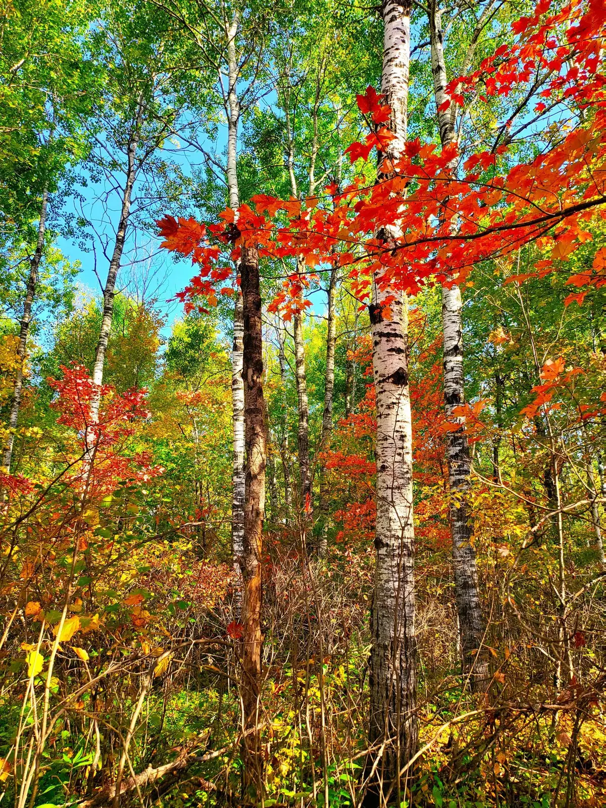 Sandstone, MN 55072,XX Klejeski RD