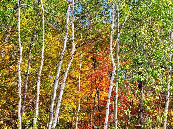 Sandstone, MN 55072,XX Klejeski RD