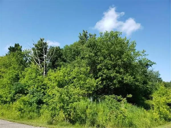 Walker, MN 56484,Lot 17 Waters Edge DR NW