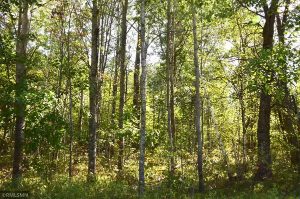 Breezy Point, MN 56472,Lot 14 Blue Ridge DR