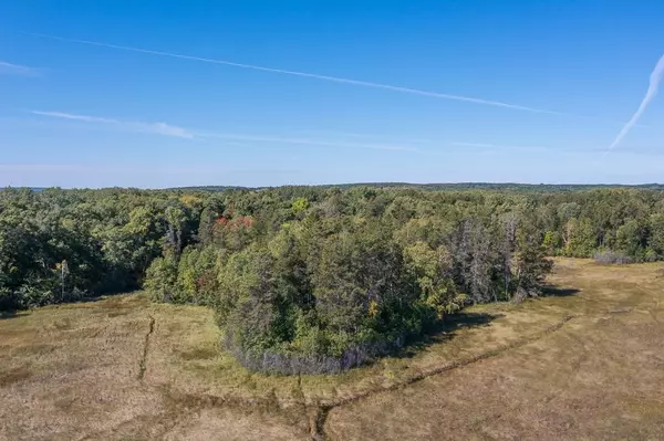 Sylvan Twp, MN 56401,TBD Tract A Little Pine RD