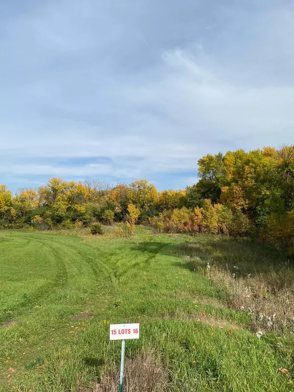 Lien Twp, MN 56311,Lot 15 Nature Bay Estate Road