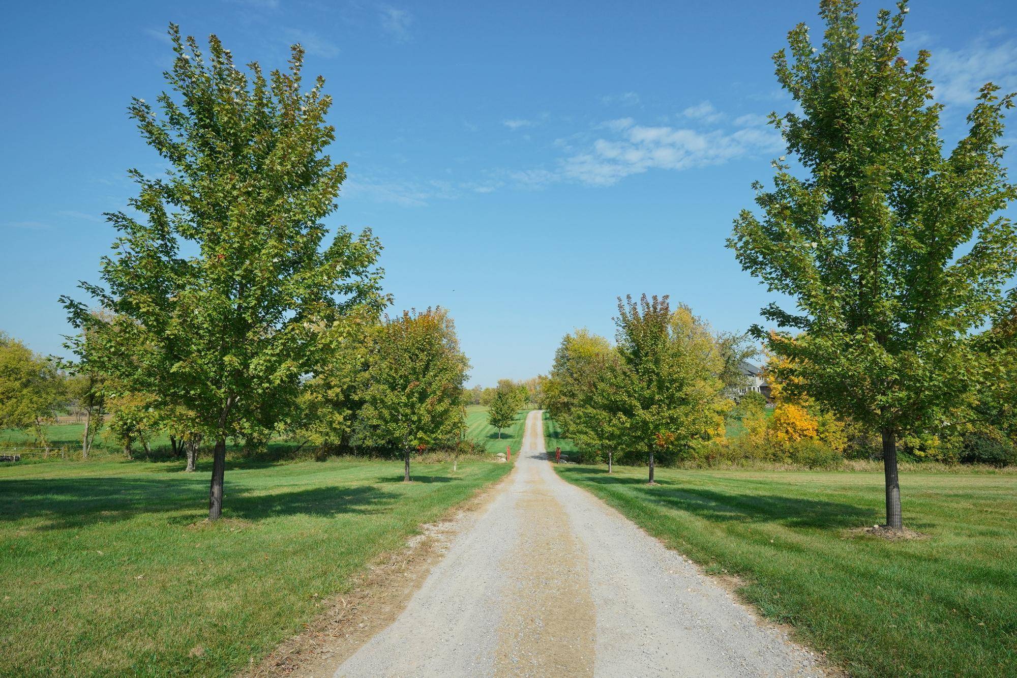 Medina, MN 55356,2172 Homestead TRL