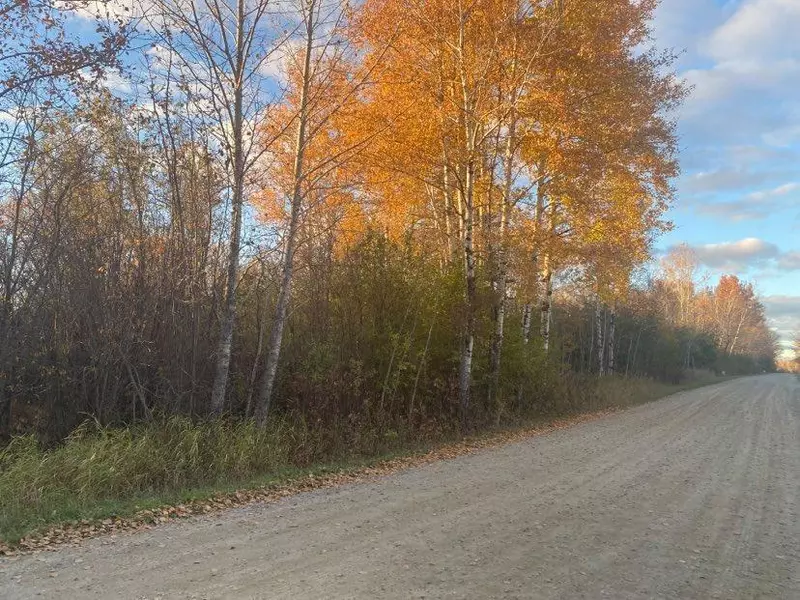 Lot A Parameter RD, Deer River, MN 56636