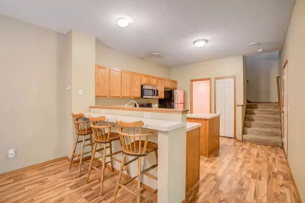 Hugo, MN 55038,13468 Europa CT N #3