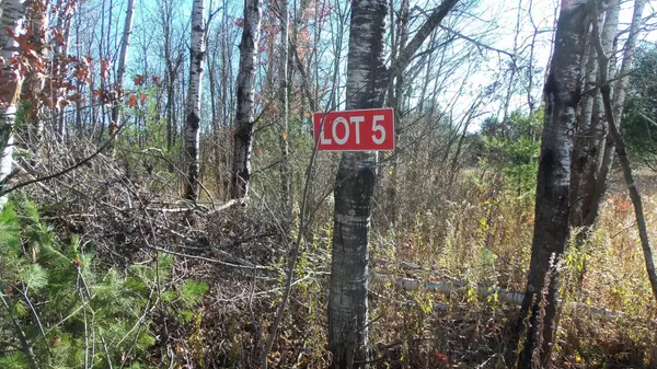 Webster, WI 54893,LOT 5 WINDORSKI RD