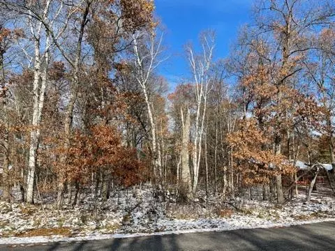 Lot 39-40 Breezy Point Blvd, Breezy Point, MN 56472