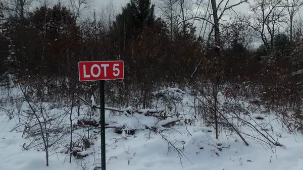 Webster, WI 54893,LOT 5 PINEWOOD TRAIL