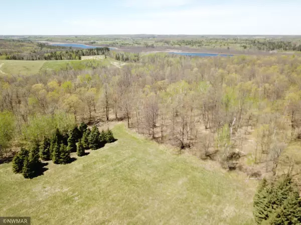 Popple Twp, MN 56621,TBD County Highway 25