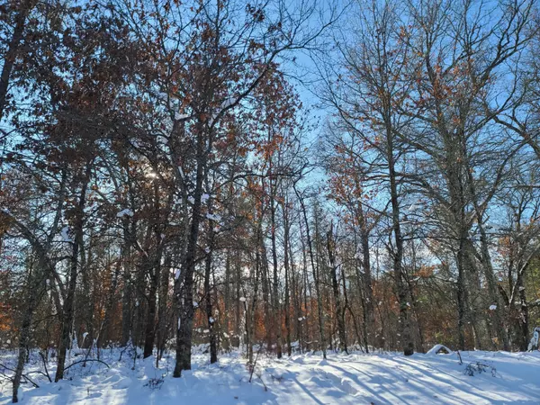 Danbury, WI 54830,Lot 8 W Bass Lake RD