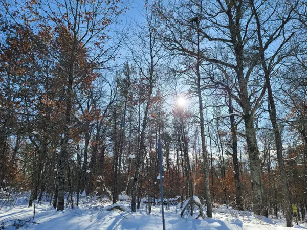 Danbury, WI 54830,Lot 8 W Bass Lake RD