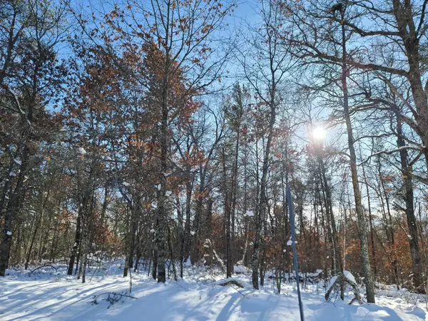 Danbury, WI 54830,Lot 8 W Bass Lake RD