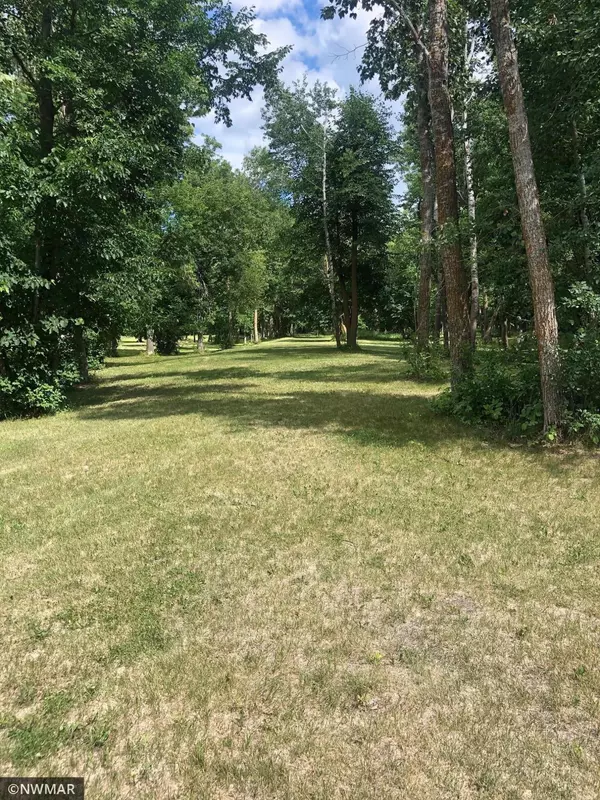 Gonvick, MN 56644,TBD Boardwalk Dr