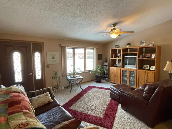 Springfield, MN 56087,401 Wilson ST