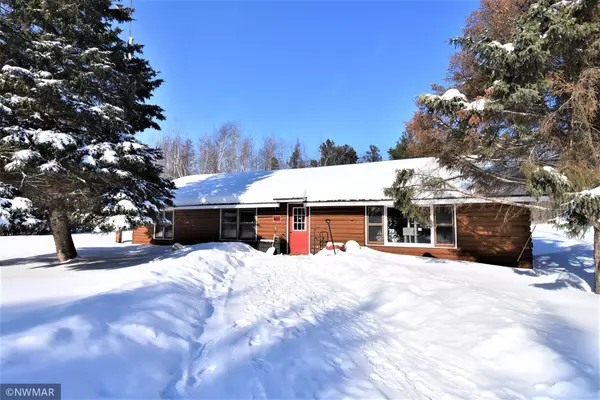 59255 Tangnes Forest RD, Warroad, MN 56763