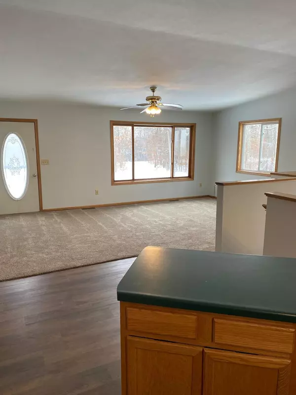 Nevis, MN 56467,24004 Elderberry CIR