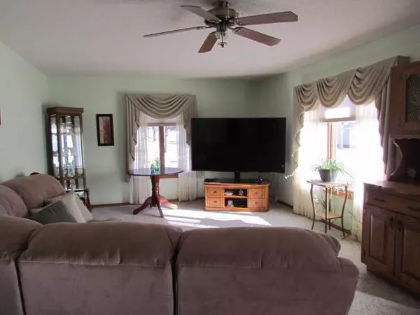 Springfield, MN 56087,24 N Park AVE